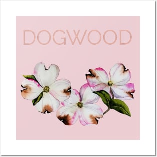 Dogwood tree flowers Posters and Art